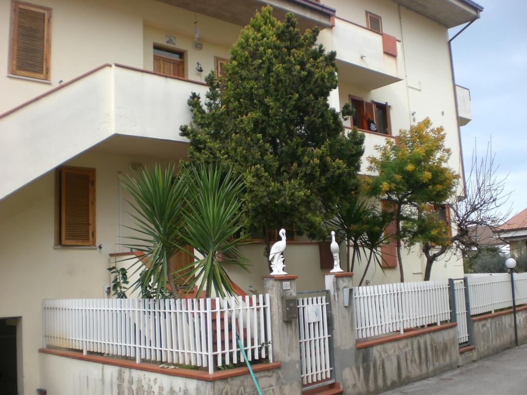 Mattia Civitanova Marche